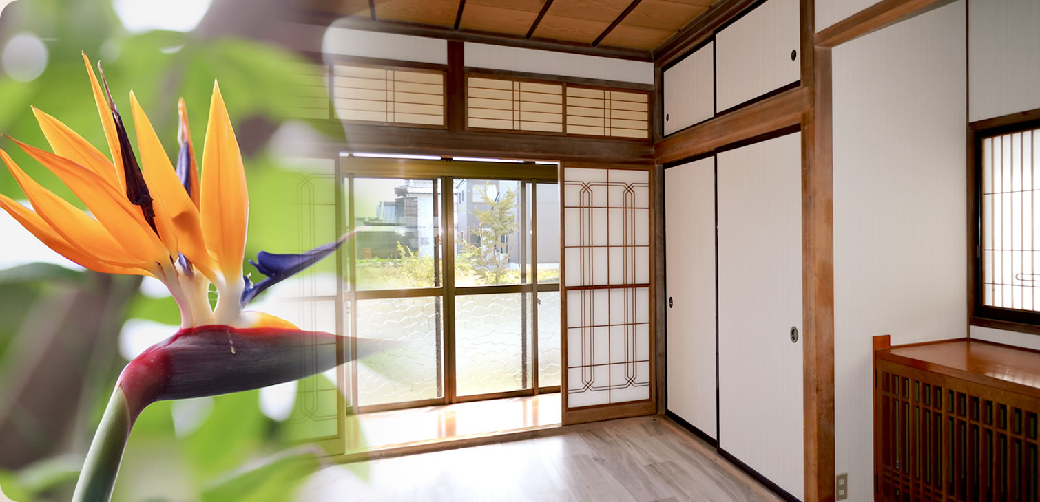 株式会社Strelitzia-LC